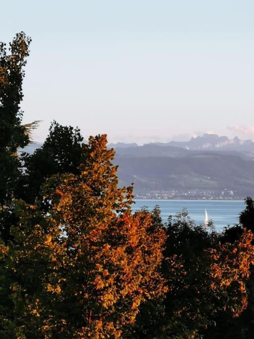 Wohnen Direkt Am Uferpark Mit Grossem Balkon Und Seeblick FDH Extérieur photo